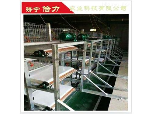 鴿子清糞機(jī)