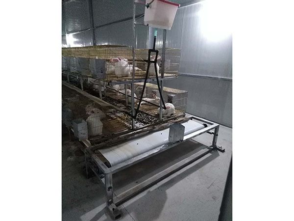 兔子清糞機