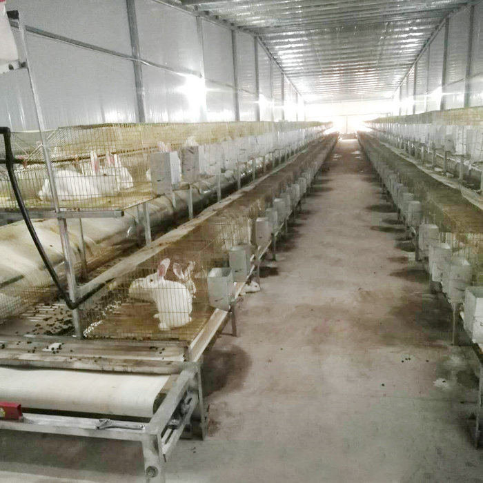 兔用自動清糞機(jī) (8).jpg