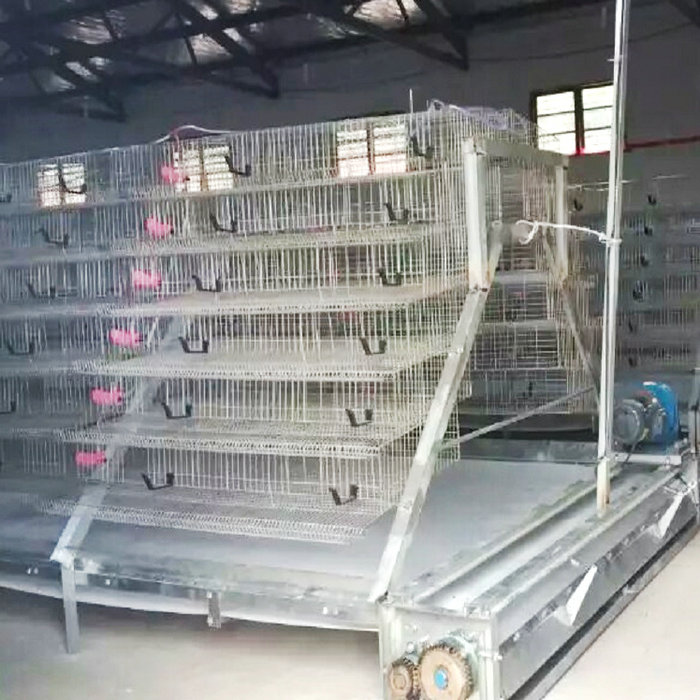 PP清糞帶蛋雞清糞機(jī) (5).jpg